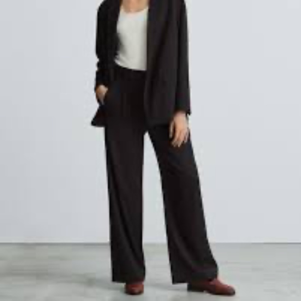 Everlane Way High Drape Pants Size 4 Short